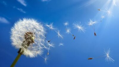 Air (Meaning and Explanation)