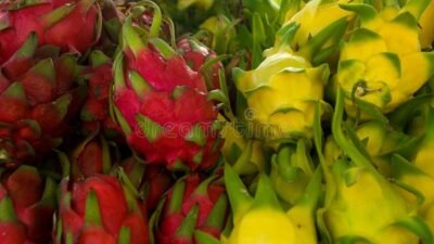 Uncommon Beauty Eye Cream A New Standard In Skincare