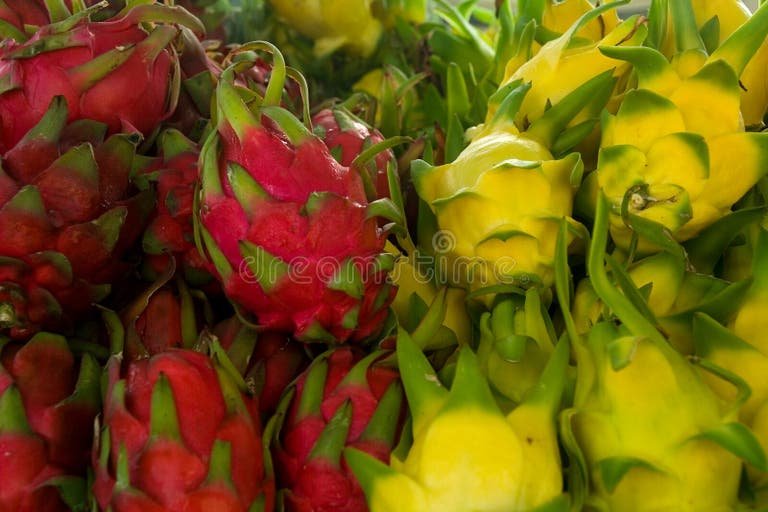 It's Ki Chi Saga Days week... - Uncommon Loon Brewing Company | Facebook